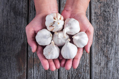 High angle view of hand holding garlics