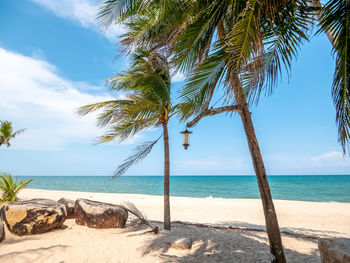 Palm trees on beach against sky