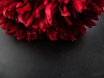 Close-up of red flowers
