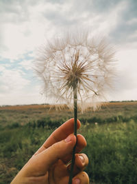 Close-up of hand holding dandelion against sky