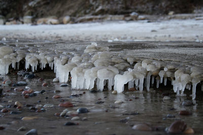 View of frozen lake during winter