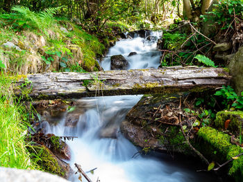 nature