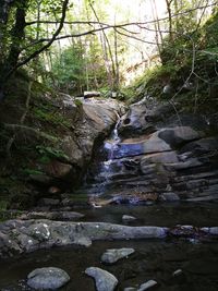 Stream flowing through rocks in forest