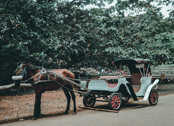 View of horse cart