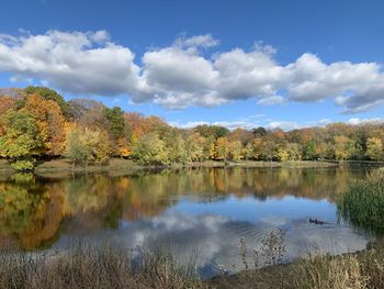 Scenic view of lake by trees against sky