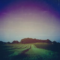 Scenic view of agricultural field against sky at night