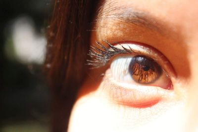 Close-up portrait of human eye