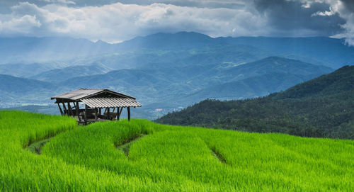 Scenic view of agricultural field by mountains against sky