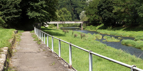 Footpath by road amidst trees