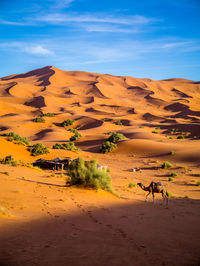 Scenic view of desert against sky