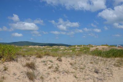 Scenic view of landscape against sky
