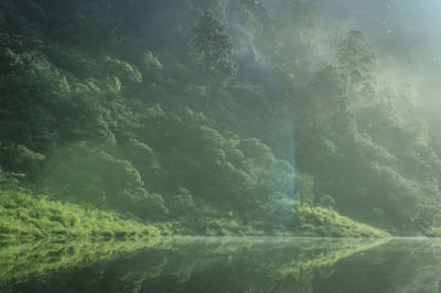 Scenic view of waterfall