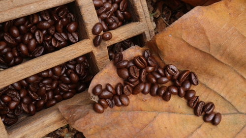 High angle view of coffee beans on table