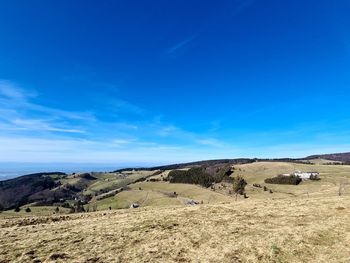 Scenic view of field against blue sky