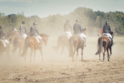 Group of people riding horses on a dusty field at traditional fuchsjagd 