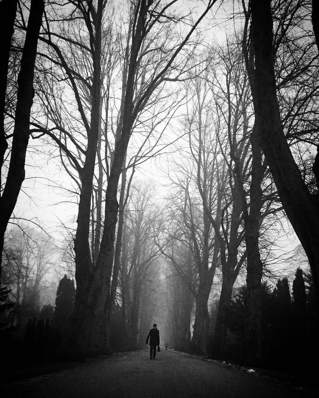 SILHOUETTE MAN AND WOMAN WALKING ON FOGGY WEATHER