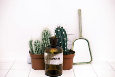 Bottle and potted cactuses by mirror on tiled floor