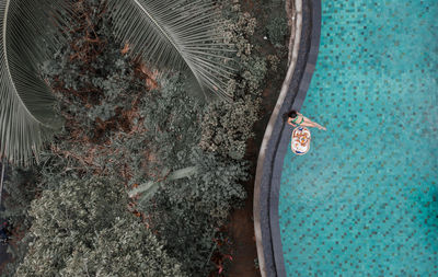 High angle view of woman swimming in pool