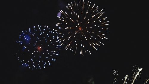 Low angle view of firework display at night