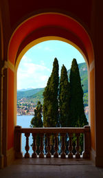 Trees seen through window