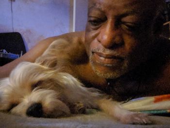 Close-up portrait of dog relaxing at home