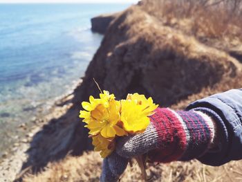 Close-up of person wearing gloves holding yellow flowers on mountain