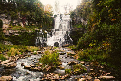 Scenic view of waterfall in forest