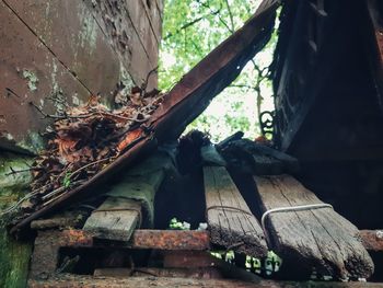 Old rusty metal structure in forest