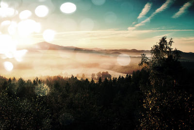 Film grain effect. amazing daybreak in saxony switzerland park. sandstone peaks increased from fog