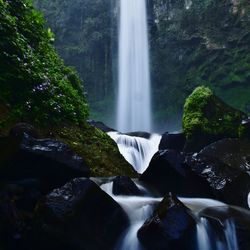 Scenic view of waterfall in forest