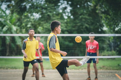 People playing soccer ball against trees