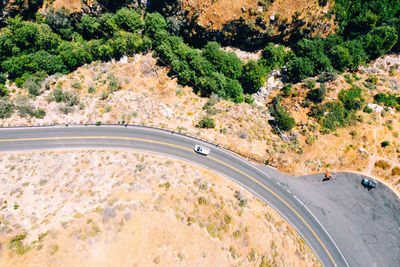 High angle view of road amidst trees