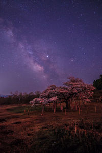 Scenic view of field against sky at night