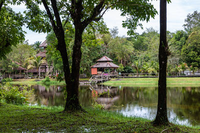 Scenic view of lake by trees and building