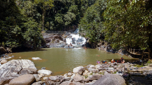 Scenic view of waterfall in forest