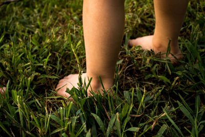 Midsection of woman hand on grass