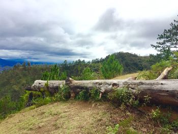 Scenic view of landscape against cloudy sky