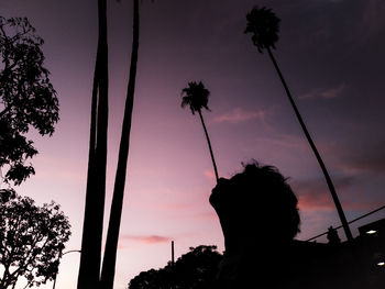 Low angle view of silhouette trees against sky