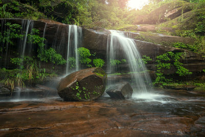 Scenic view of waterfall in forest
