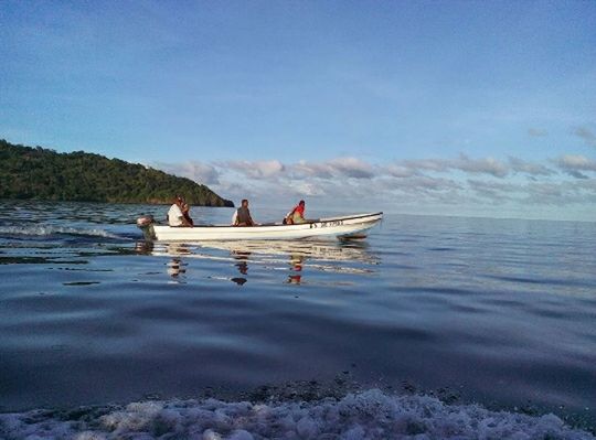 water, sea, nautical vessel, sky, waterfront, animal themes, transportation, swimming, boat, nature, tranquility, rippled, beauty in nature, day, bird, mode of transport, outdoors, tranquil scene, scenics