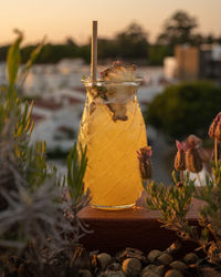 Close-up of drink on glass