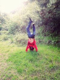 grass