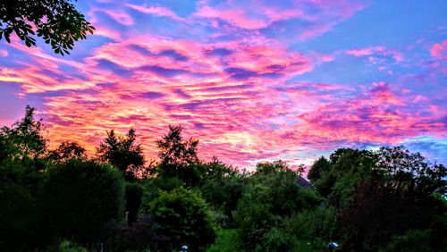 Low angle view of silhouette trees against sky