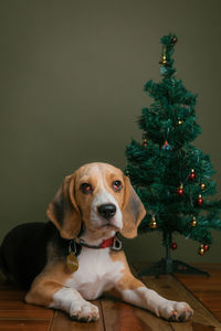 Beagle christmas tree