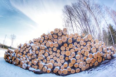 Close-up of logs against sky