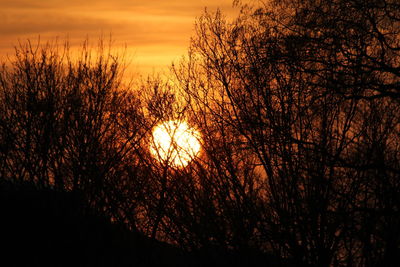 Silhouette bare trees against sky during sunset