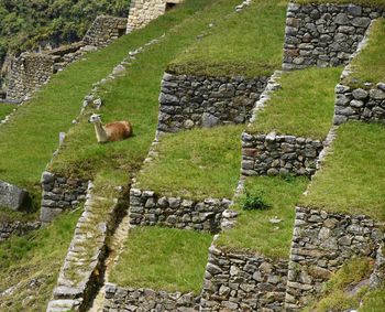 View of a stone wall