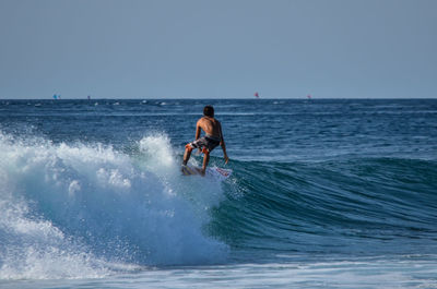 Rear view of shirtless man surfing on sea against clear sky