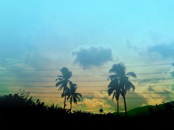 Silhouette trees on landscape against sky