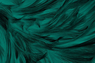 Full frame shot of feathers